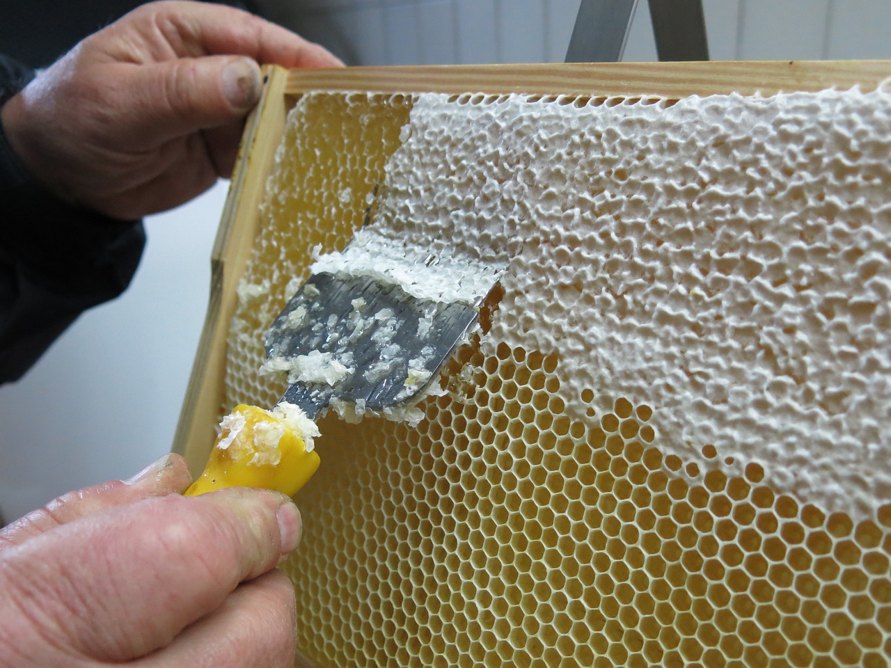 honey, honeycomb, to uncover-957277.jpg